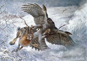 #94 Meccanismo a Retroazione Negativa- Feedback Genetico 3 °