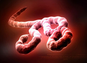 # 112 Virus Emergenti 6°