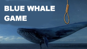 #123 Blue Whale