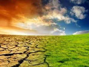 desertificazione della terra