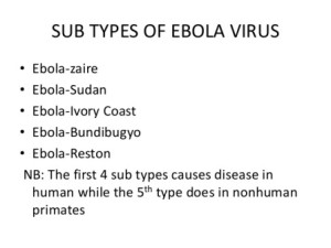 ebola hemorrhagic fever