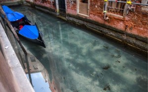 Venezia acque limpide
